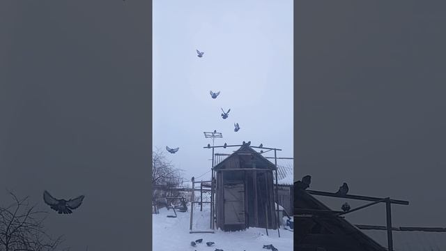 12 декабря 2023 г. смотреть онлайн