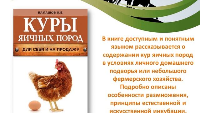 10 книг о домашних животных смотреть онлайн