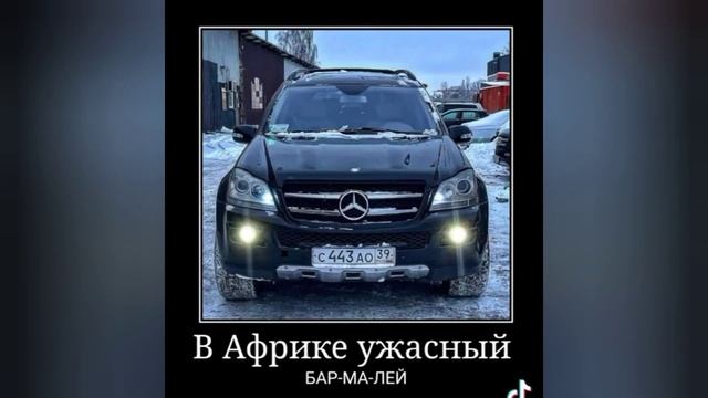 субару в тик ток . паша пэл смотреть онлайн