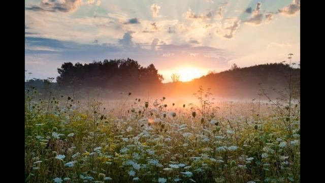 Melody of awakening смотреть онлайн