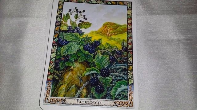 Druid Plant Oracle flipthrough смотреть онлайн
