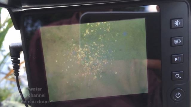 TUTORIAL CAMERA EYE2FISH - VIDEO SOUS MARINE EN EAU DOUCE смотреть онлайн