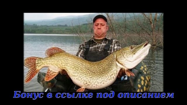 как пользоваться активатором клева смотреть онлайн