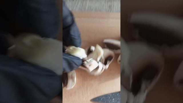 СупОК