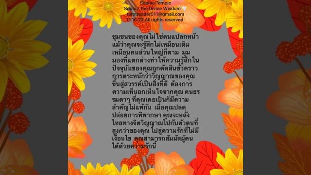 11.16.22 Collective Reading - Non-categorized смотреть онлайн