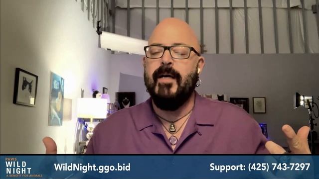 Wild Night Highlights 2021 смотреть онлайн