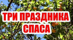 ТРИ ПРАЗДНИКА СПАСА