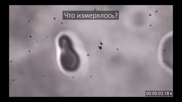 П.Б.Ермолинский - Динамика агрегации одиночных эритроцитов в плазме крови смотреть онлайн