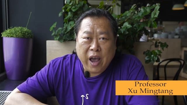 Master Xu Mingtang in Hungary. смотреть онлайн