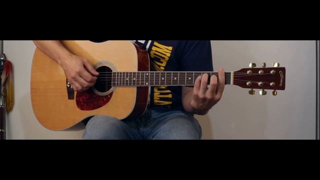 C.GIANT Acoustic Guitar (Акустическая гитара)