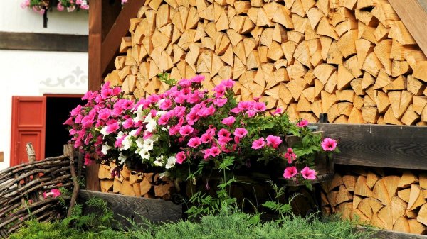 ?Декор и дизайн придомовой территории Идеи для воплощения / Garden decor and design ideas/ A - Vide