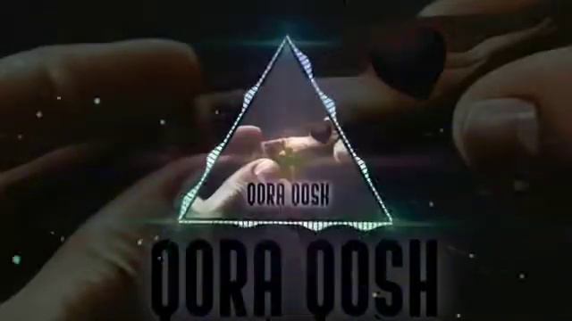 Qora Qosh-Aslwayne..  Асл вайне-кора кош(2020)