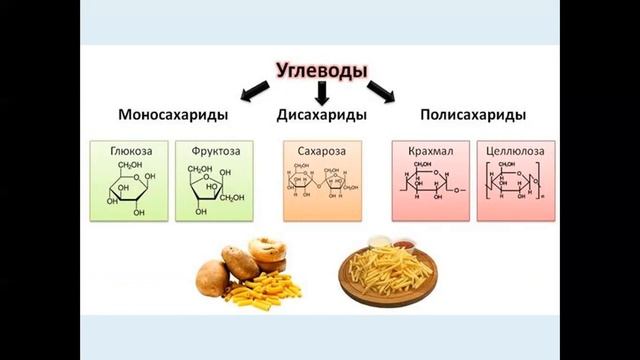Химический состав клетки (органические вещества) смотреть онлайн