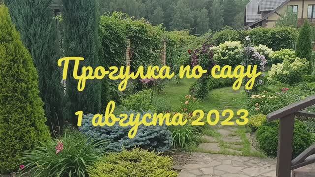 Прогулка по саду 1 августа, Подмосковье смотреть онлайн