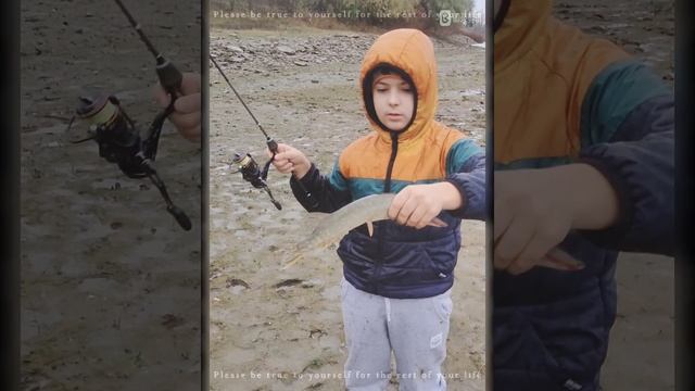 маленькие трофени большие в перейди смотреть онлайн