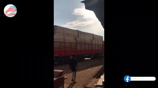 Thank you Ghana Police! for the arrest of Insecure Loading??? - ekuonaba react смотреть онлайн