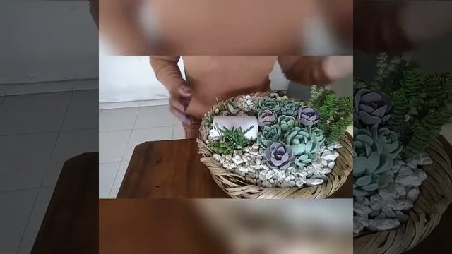 Cuidados De Nuestros Arreglos De Suculentas.