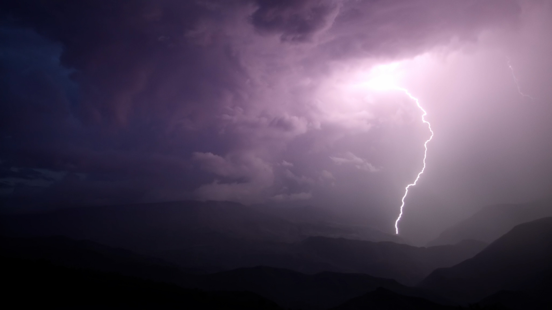 Кинофестиваль Докер 2022 • Основной конкурс