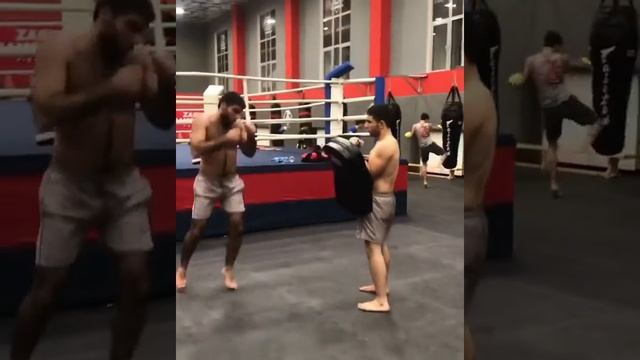 ELMAR SADIKOV Akhmat KickBoxing ?? смотреть онлайн