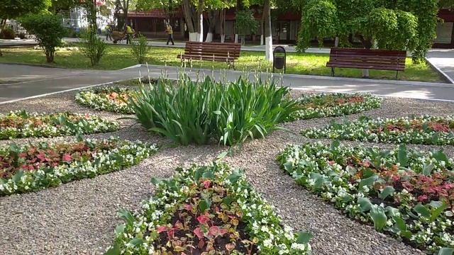 ЧУДЕСА ЛАНДШАФТНОГО ДИЗАЙНА! МОЛДОВА, г. БЕЛЬЦЫ. 18.05.2023 г. смотреть онлайн