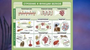§2 «Химический состав клетки», Биология 6 класс, Сивоглазов