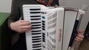 Популярные Застольные Песни на Аккордеоне/ Аккордеонист Баянист