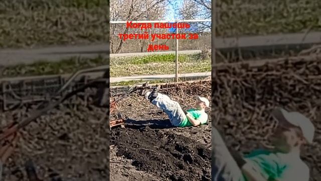 Когда пашешь мотоблоком третий участок за день и хочется прилечь смотреть онлайн