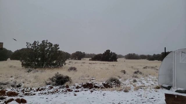 Seriously Simple Solar Lvyuan Inverter & Charge Controller