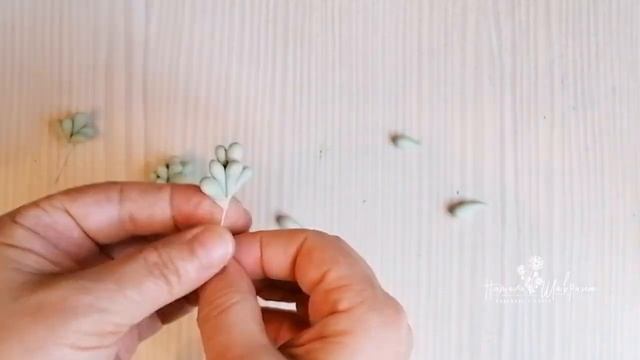 Суккуленты из холодного фарфора. A Succulent Of Cold Porcelain