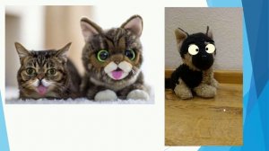 Граф собрал подборку милых и забавных котиков! Мур, Мяу!