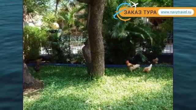THE QUEST GUEST HOUSE 2* Индия Север Гоа обзор – отель ЗЕ КВЕСТ ГЕСТ ХАУС 2* Север Гоа видео обзор смотреть онлайн