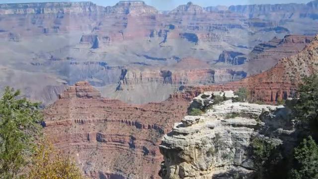 неделя английского языка смотреть онлайн