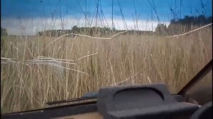 Болотоход | Аэросани - Первый блин не комом. ( ТестДрайв )