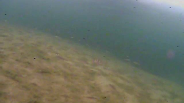 Испытание подводной видеокамеры - Fish finder camera смотреть онлайн