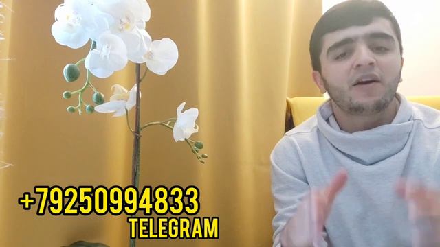 ОБУЧЕНИ! ТРЕЙДИНГ & P2P - Кор Кадан Дар Интернет! смотреть онлайн