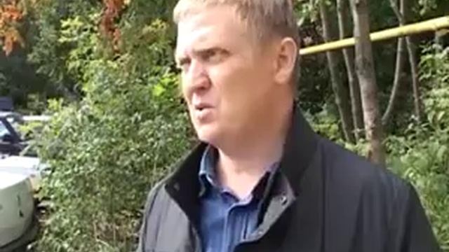Деревья спиливают и вырубают