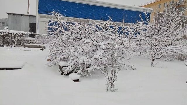 Дождались! Дачные хитрости от Светланы смотреть онлайн