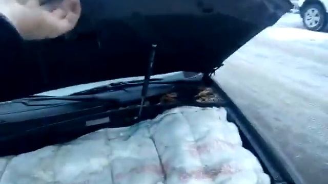 Упор капота на Wagon смотреть онлайн