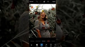 How To Create A Fall Leaves Bokeh Effect O * | PicsArt Tutorial