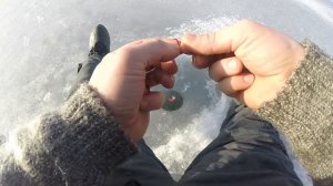 Как ловить ЛЕЩА зимой? Ловя крупного Леща зимой. Снасти и методы лови.