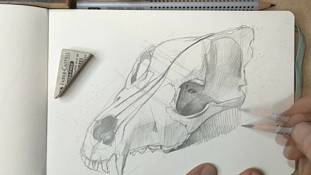 Рисуем череп собаки / Drawing a Skull of Dog смотреть онлайн