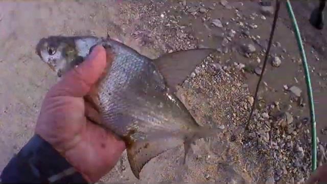 Рыбалка в сентябре, Бугринка. смотреть онлайн