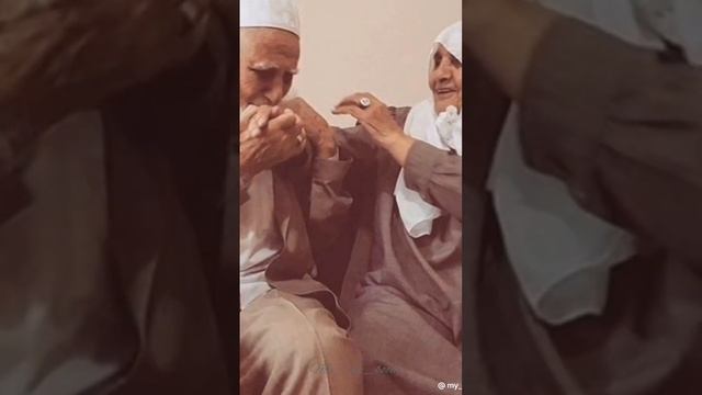 Хамма обунчиларни байрами билан смотреть онлайн