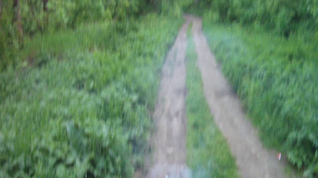 Р6009 Супербабочка смотреть онлайн