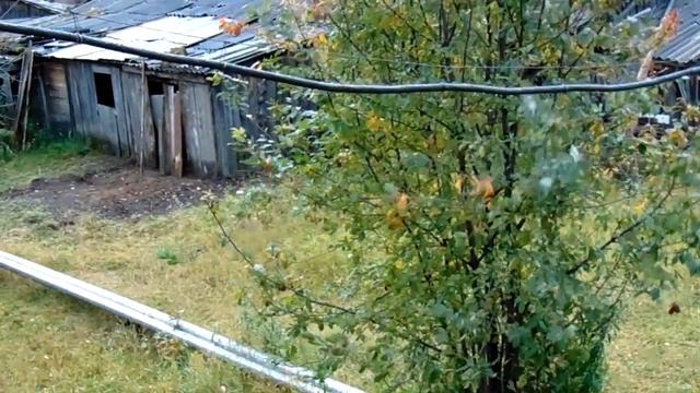 Сентябрь. Жёлтая берёза. Щенок. Тучи. А у нас во дворе #1 смотреть онлайн