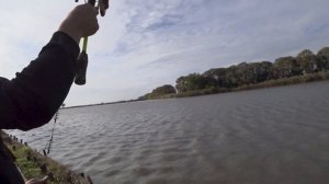Рыбалка на 7 прудах/рыбалка Краснодарский край