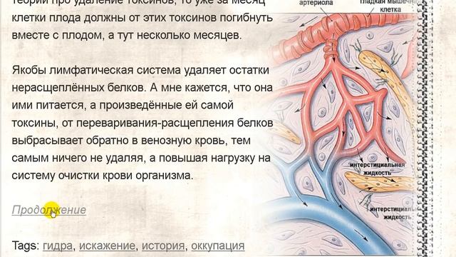 ГИДРА ч 1 Лимфа, грибы, энергетические паразиты смотреть онлайн