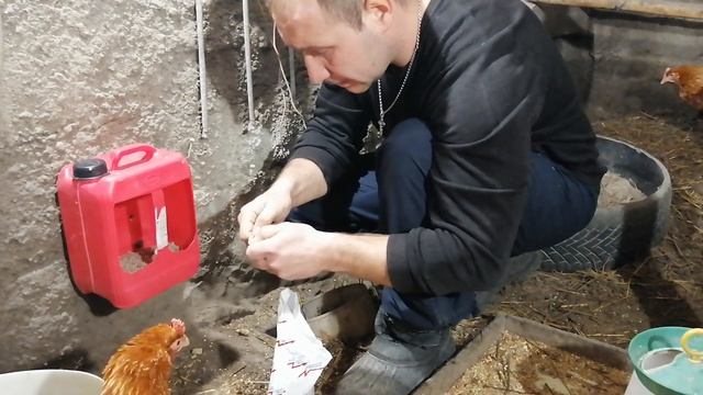 Новая кормушка из подручных средств.Ракушка для кур. смотреть онлайн