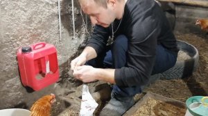 Новая кормушка из подручных средств.Ракушка для кур.