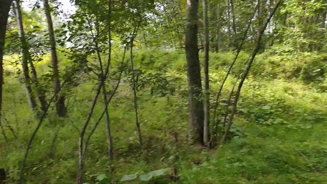 Туалет на озере / Суп звёздочка